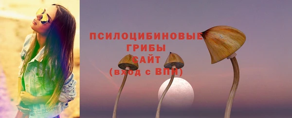 ешки Володарск
