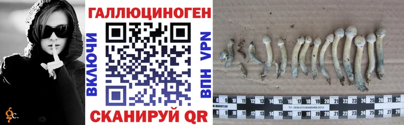 Галлюциногенные грибы прущие грибы  Чудово 