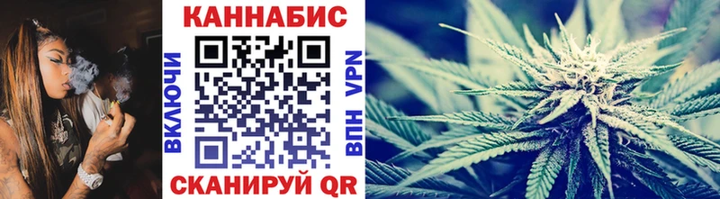 Каннабис гибрид  закладки  Чудово 